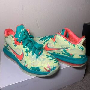 Nike Lebron Low (New)